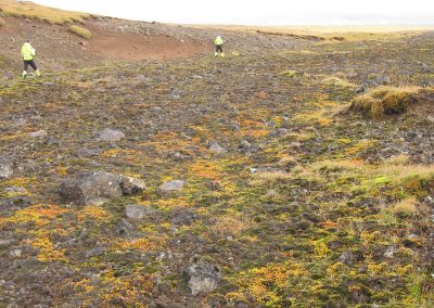 Bolaalda Geothermal Project