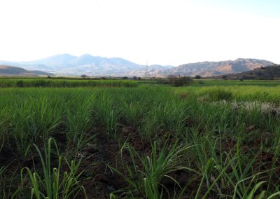 El Ocotillo Geothermal Project