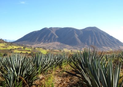 El Ocotillo Geothermal Project