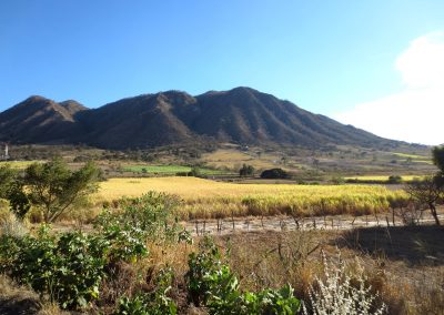 El Ocotillo Geothermal Project