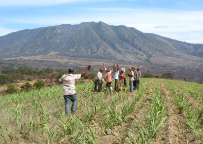 El Ocotillo Geothermal Project